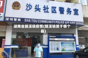 湖南省鲤溪镇疫情(鲤溪镇属于哪个县)