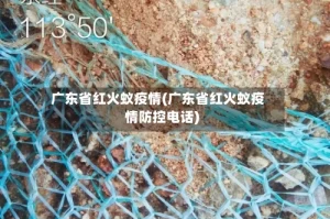广东省红火蚁疫情(广东省红火蚁疫情防控电话)
