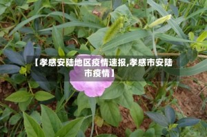 【孝感安陆地区疫情速报,孝感市安陆市疫情】