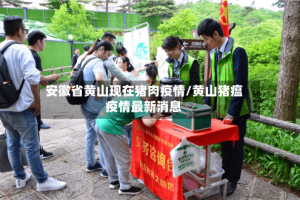 安徽省黄山现在猪肉疫情/黄山猪瘟疫情最新消息