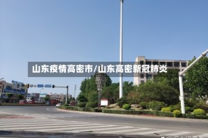 山东疫情高密市/山东高密新冠肺炎