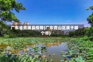 广东省霞浦县疫情(广东霞山区属于哪个市)