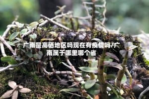 广南是高硒地区吗现在有疫情吗/广南属于哪里哪个省