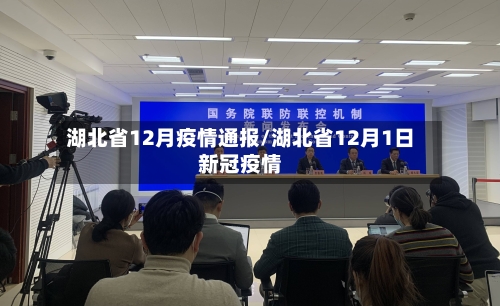 湖北省12月疫情通报/湖北省12月1日新冠疫情-第3张图片