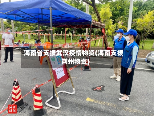 海南省支援武汉疫情物资(海南支援荆州物资)-第1张图片
