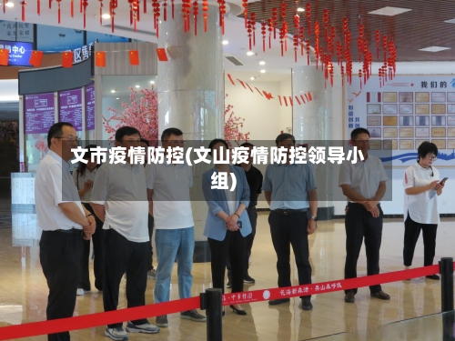 文市疫情防控(文山疫情防控领导小组)-第2张图片