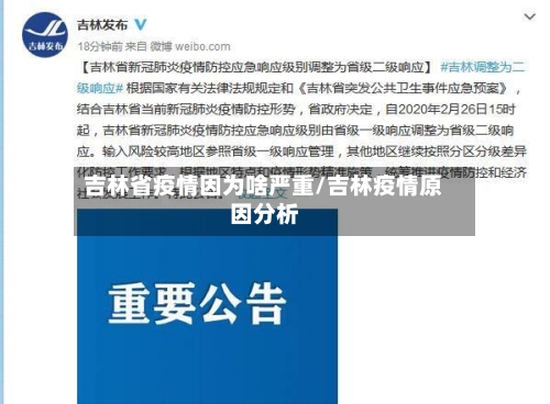 吉林省疫情因为啥严重/吉林疫情原因分析-第2张图片
