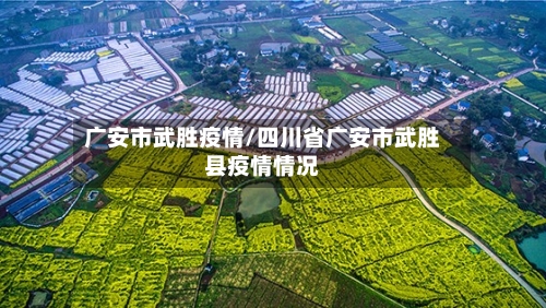 广安市武胜疫情/四川省广安市武胜县疫情情况-第2张图片