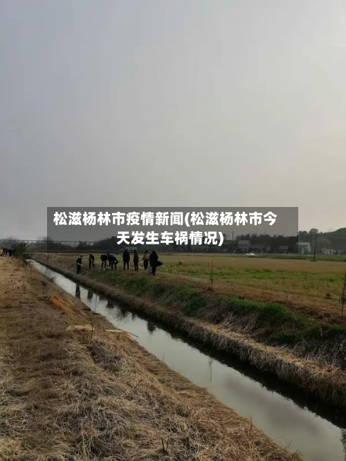 松滋杨林市疫情新闻(松滋杨林市今天发生车祸情况)-第1张图片