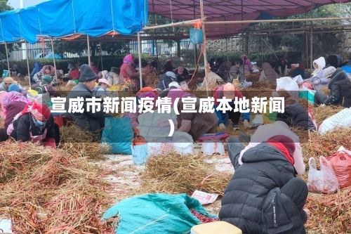 宣威市新闻疫情(宣威本地新闻)-第1张图片