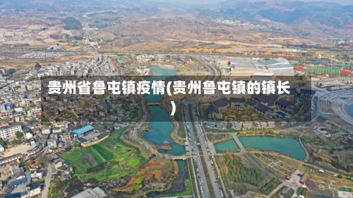 贵州省鲁屯镇疫情(贵州鲁屯镇的镇长)-第1张图片