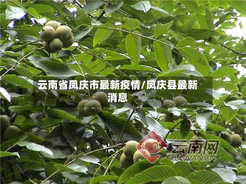 云南省凤庆市最新疫情/凤庆县最新消息-第1张图片