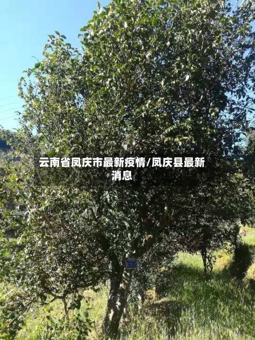 云南省凤庆市最新疫情/凤庆县最新消息-第3张图片