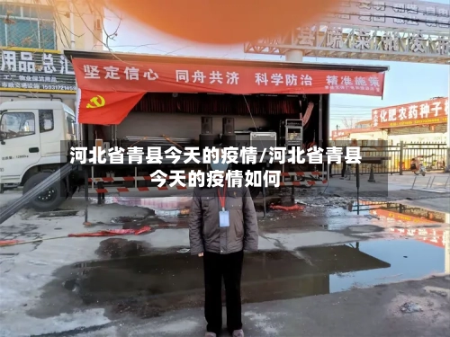 河北省青县今天的疫情/河北省青县今天的疫情如何-第1张图片