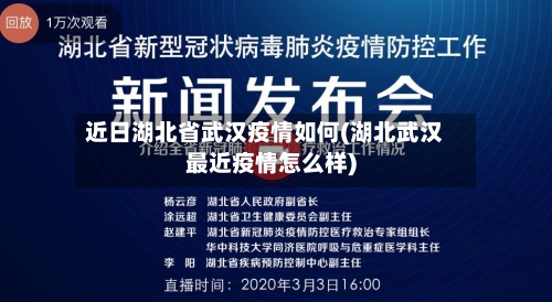 近日湖北省武汉疫情如何(湖北武汉最近疫情怎么样)-第1张图片