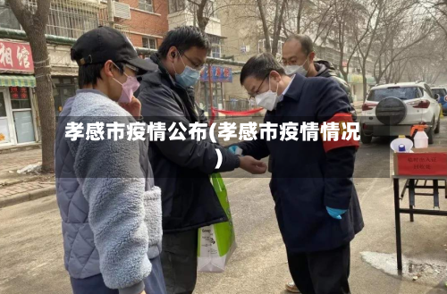 孝感市疫情公布(孝感市疫情情况)-第2张图片