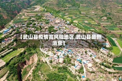【武山县疫情高风险地区,武山县最新消息】-第2张图片
