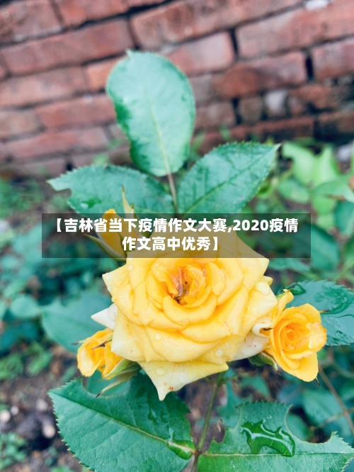 【吉林省当下疫情作文大赛,2020疫情作文高中优秀】-第1张图片