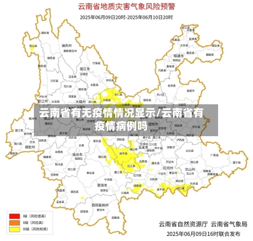 云南省有无疫情情况显示/云南省有疫情病例吗-第2张图片